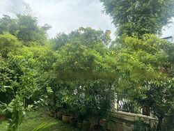 Watten Estate (D11), Detached #473320601